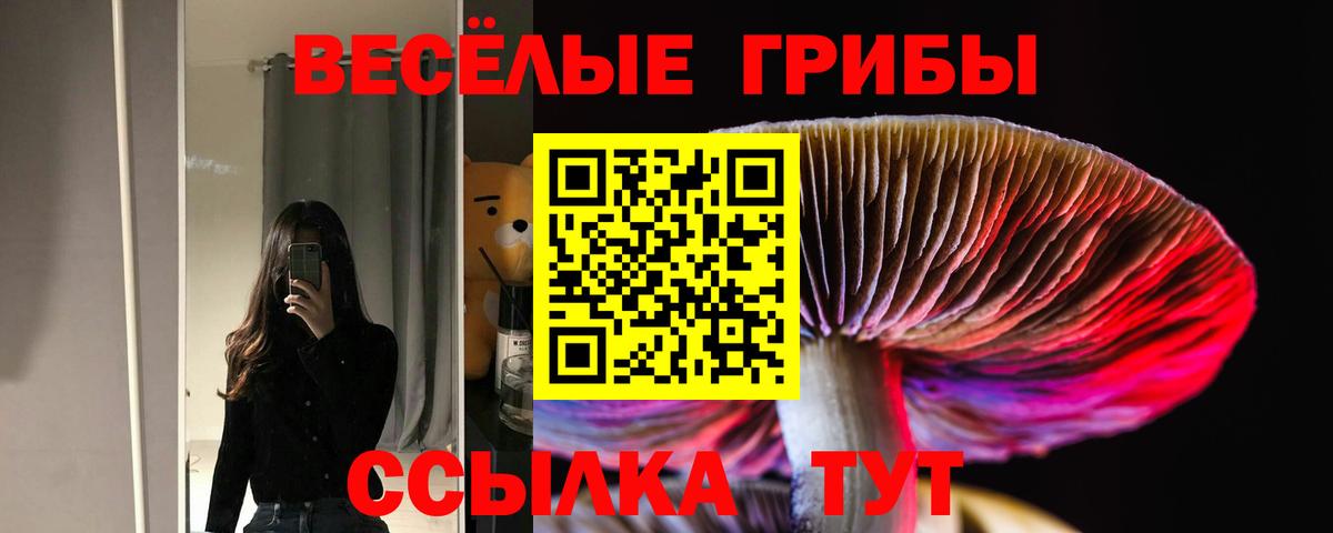 Псилоцибиновые грибы Cubensis  где продают наркотики  Смоленск  Вход с VPN 